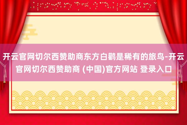 开云官网切尔西赞助商东方白鹳是稀有的旅鸟-开云官网切尔西赞助商 (中国)官方网站 登录入口