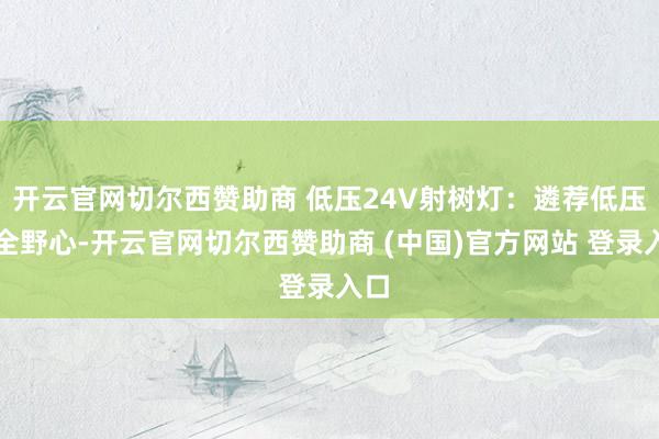 开云官网切尔西赞助商 低压24V射树灯：遴荐低压安全野心-开云官网切尔西赞助商 (中国)官方网站 登录入口