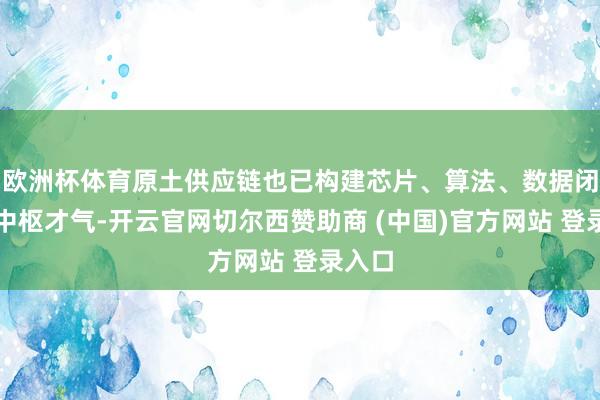 欧洲杯体育原土供应链也已构建芯片、算法、数据闭环等中枢才气-开云官网切尔西赞助商 (中国)官方网站 登录入口