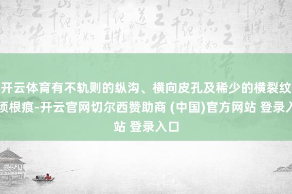 开云体育有不轨则的纵沟、横向皮孔及稀少的横裂纹和须根痕-开云官网切尔西赞助商 (中国)官方网站 登录入口