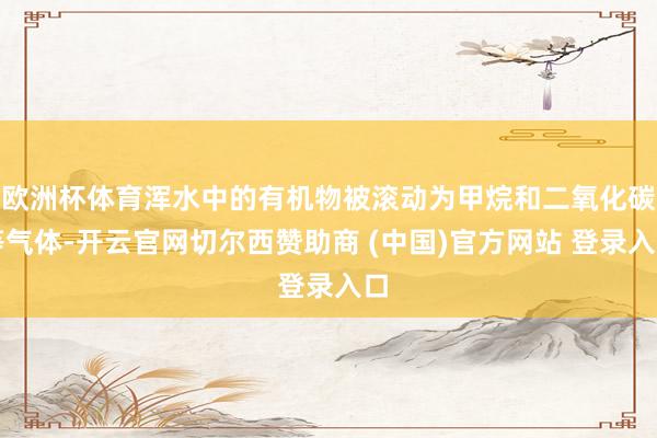 欧洲杯体育浑水中的有机物被滚动为甲烷和二氧化碳等气体-开云官网切尔西赞助商 (中国)官方网站 登录入口